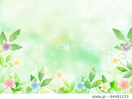 蔓草の写真素材