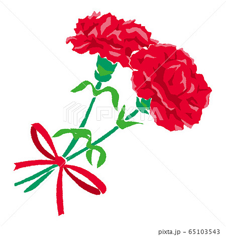 カーネーション画像のイラスト素材