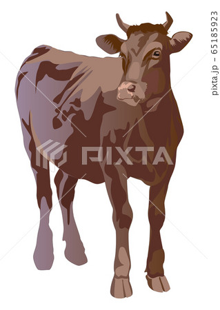 牧場 牛 茶色 和牛のイラスト素材