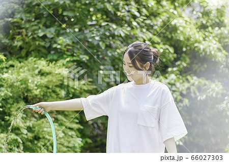 水やり 水 ホース 水撒きの写真素材