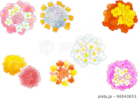 10月27日誕生花のイラスト素材
