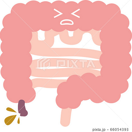 盲腸のイラスト素材