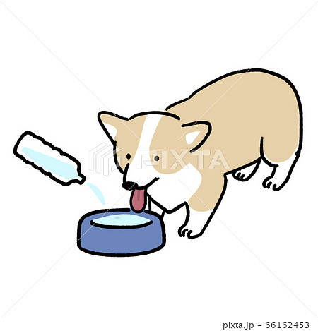 犬 水 飲む 水分補給のイラスト素材