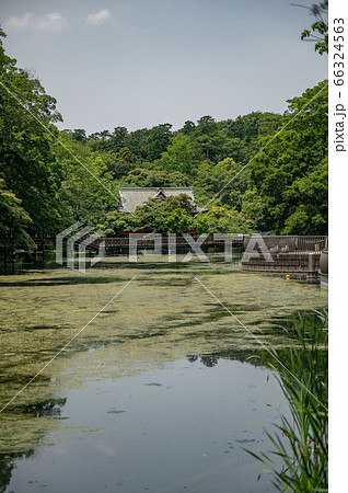 弁財天の写真素材