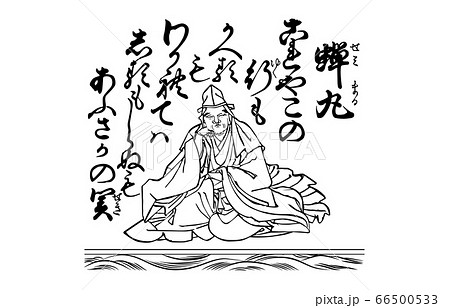 せみまるの写真素材 - PIXTA