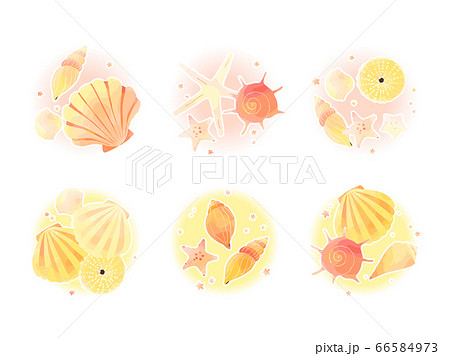 巻貝のイラスト素材