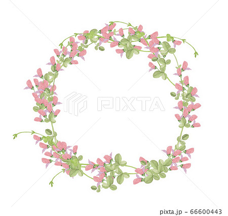 蔓のイラスト素材