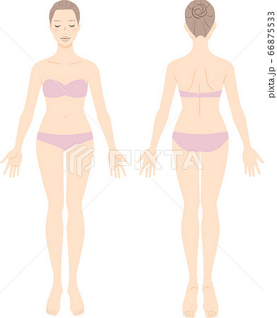 体型のイラスト素材