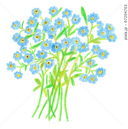 色鉛筆画 春 花 植物のイラスト素材