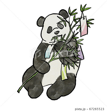 七夕 笹のイラスト素材