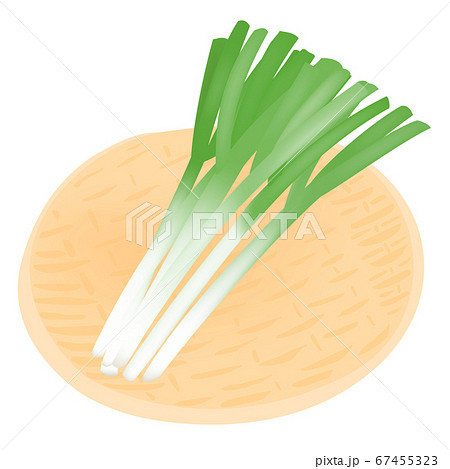 ねぎのイラスト素材集 ピクスタ