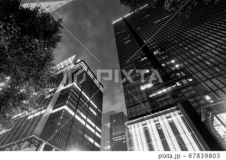 東京 モノクロ 白色 夜景の写真素材