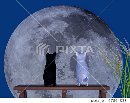 月 きれい 美しい 大きいのイラスト素材