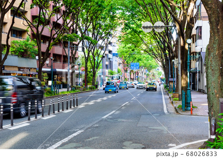 福岡けやき通りの写真素材