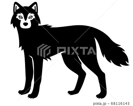 オオカミ 狼 のイラスト素材集 Pixta ピクスタ