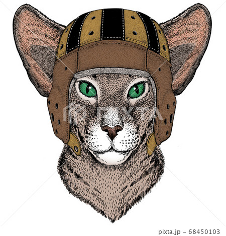 かっこいい猫のイラスト素材