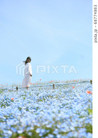 花畑 女性 後姿 ひたち海浜公園の写真素材