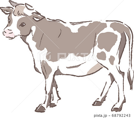 ホルスタイン 丑 牛 乳牛のイラスト素材