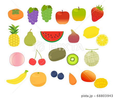 果物 フルーツ セット 食材のイラスト素材