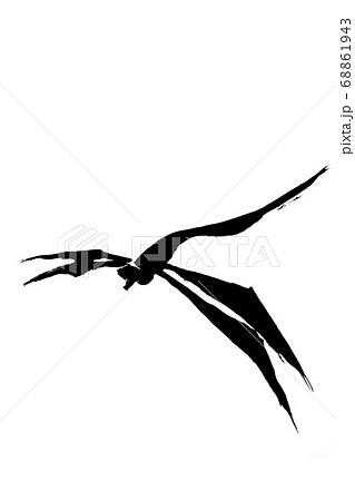 アキアカネのイラスト素材