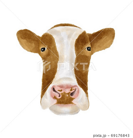 動物 牛 イラスト 正面のイラスト素材