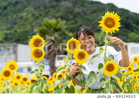 人物 女の子 向日葵 ひまわり畑の写真素材