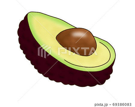 ワニナシ属の写真素材