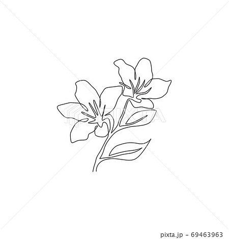 ツツジのイラスト素材