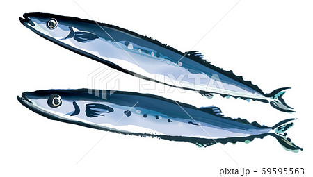 サンマ墨絵 秋刀魚 さんまのイラスト素材 - PIXTA