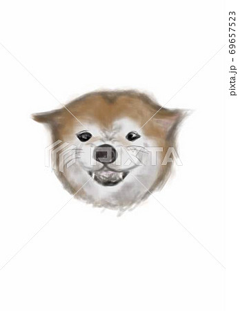 柴犬 犬 怒る 顔のイラスト素材