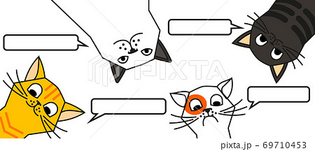 猫 吹き出し 動物 イラスト 面白い ひょうきん マンガ 台詞の写真素材