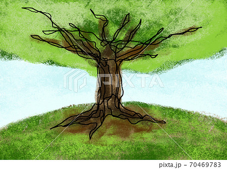 大木のイラスト素材