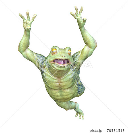 かえる 蛙 カエル 歩行の写真素材