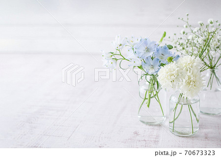 デルフィニウム 花瓶の写真素材