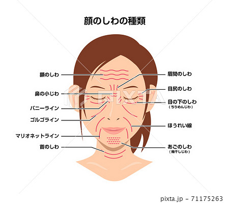 シワのイラスト素材