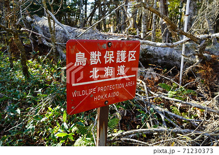 鳥獣保護区 看板 鳥獣保護区看板 北海道の写真素材 - PIXTA