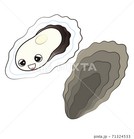 牡蠣 ベクター 殻 生牡蠣のイラスト素材