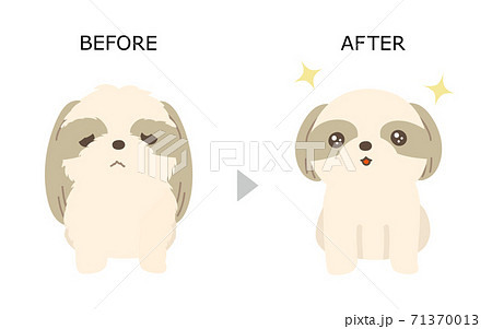 犬 小型犬 可愛い カットのイラスト素材