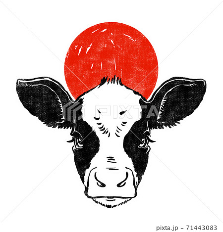 牛の顔のイラスト素材