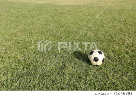 芝生 グラウンド サッカー場 背景の写真素材