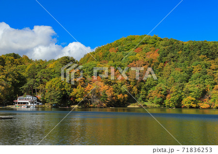 松原湖 湖 紅葉 秋の写真素材