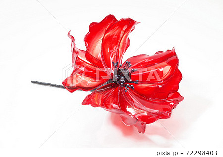 赤い花の写真素材