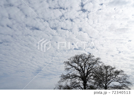 ひつじ雲の写真素材