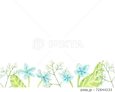 カスミソウのイラスト素材