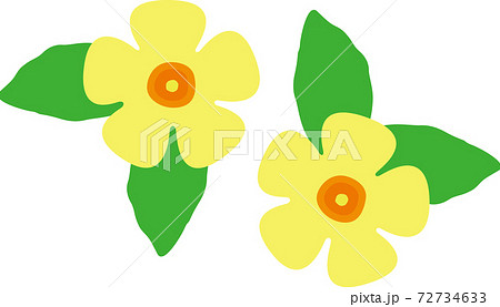 沖縄 花のイラスト素材