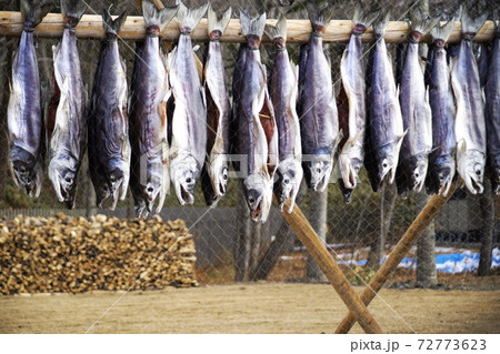白老町ポロト湖畔に誕生した素晴らしいウポポイ