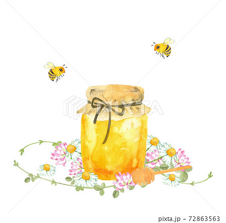 ハニーのイラスト素材
