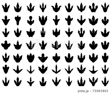 恐竜足跡 イラストのイラスト素材