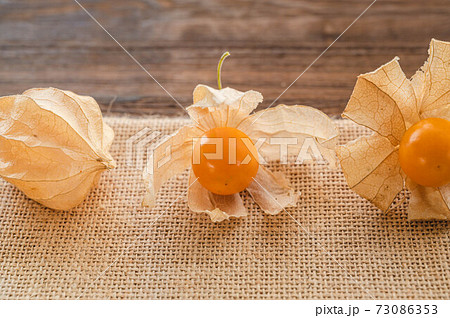 無料でダウンロード ほおずき 秋 鬼灯 秋田 Gazojpvalue