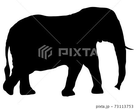 象 シルエット ゾウ イラストのイラスト素材